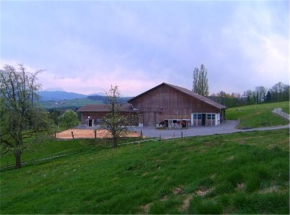 Huobschur